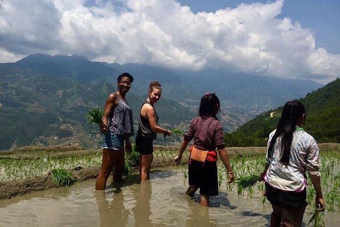 3 Days SAPA Real Experience at Local People House - The Homestay Reality: Simple Rooms, Warm Hosts, and Hands-On Help
