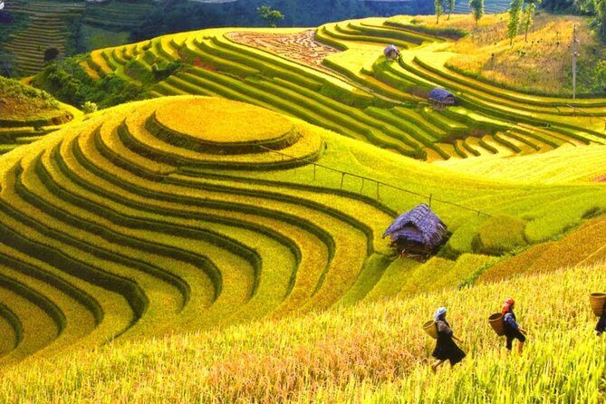 3 Days Sapa Tour with Night Train from Hanoi - Trekking With a Guide: Staying Found in Mountain Paths