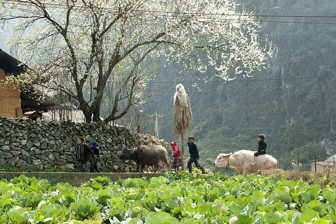 3 Days Sapa Tour with Night Train from Hanoi - Day 1 in Sapa: The Heavier Trek Portion