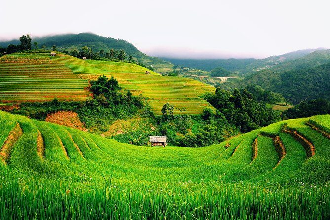 3 Days Sapa Tour with Night Train from Hanoi - Day 2: When the Trek Turns Into a Shorter Stroll