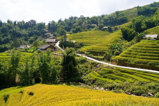 3-Days Sapa Trekking With Local Guide Overnight in Tavan Village - Key highlights (what makes this tour worth your time)