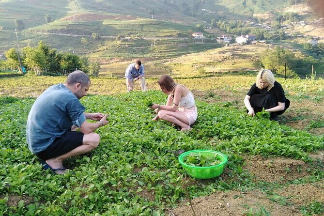 3-Days Sapa Trekking With Local Guide Overnight in Tavan Village - Day 2: Pho and nem cuốn cooking class, bamboo forest, and Giang Ta Chai photos