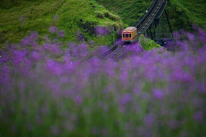 3 Days Tour & Fansipan Mountain Hotel & Bungalow from Hanoi - Day 3: A Short Cooking Option, Giang Ta Chai Red Dzao Village, and Back to Hanoi