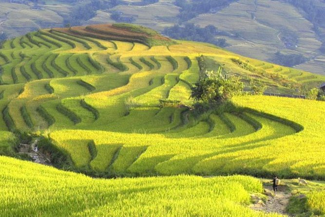 3-Night Sapa Trek and Homestay with Round Trip Transfer from Hanoi - Overnight Train to Lao Cai: The Ride That Sets the Tone