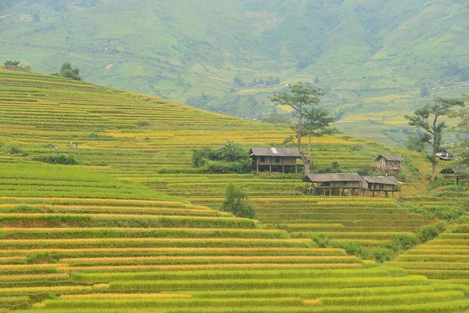 3-Night Sapa Trek and Homestay with Round Trip Transfer from Hanoi - Price and Value: What You Really Get for $218