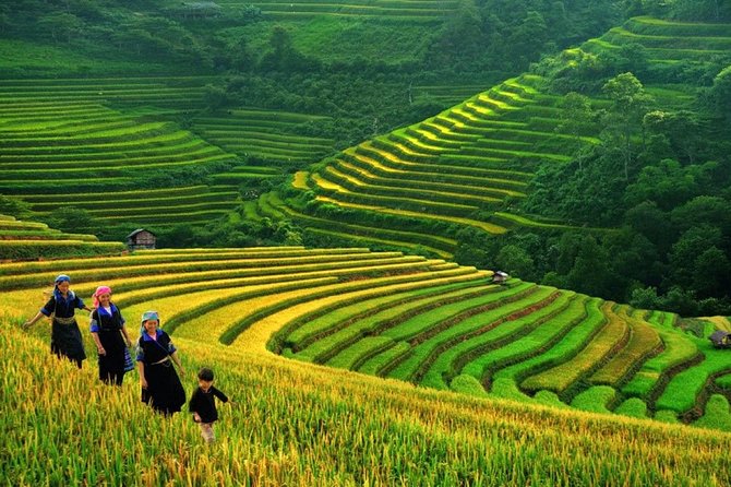 3-Night Sapa Trek and Homestay with Round Trip Transfer from Hanoi - Giang Ta Chai Village Day: Bamboo Forest to Hill-Path Views
