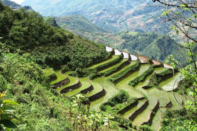 3-Night Sapa Trekking Tour from Hanoi - Two Days of Moderate Trekking Through Real Valley Life