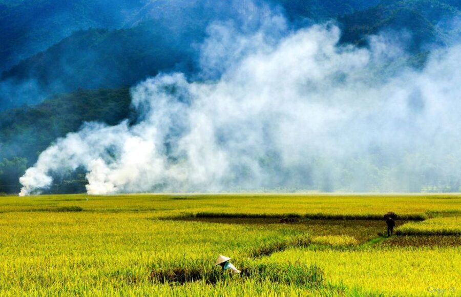 3D2N Mai Chau - Pu Luong from rice valley to nature reserve - Key highlights at a glance