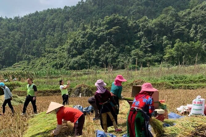 4-Days - Ha Giang loop- Cao Bang and Ban Gioc waterfall - Day 1: Bắc Sum Pass, Lung Khuy Cave, and a homestay evening in Yên Minh