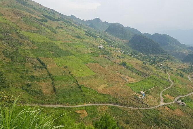 5 Days 4 Nights Ha Giang Easy Driving Motorbike Tours - Bikes, safety gear, and the semi-automatic training detail that matters