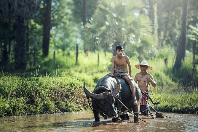 6 Days 5 Night Ha Long Bay, Ninh Binh and Sapa Tour - Key Things That Make This Tour Worth Your Time