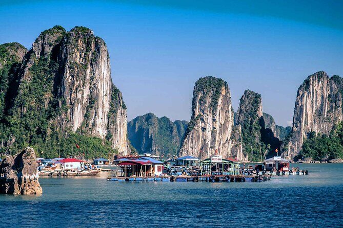 7-Day Vietnam Itinerary | Explore | Best 2026 North and Central - Day 6: Cu Lao Cham (Cham Island) by speed boat and a seafood lunch