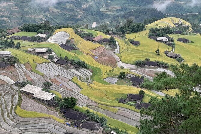 7 Days Dong Van Ha Giang Private Loop Tour with Wellness Programs - Day 5: Flax making, 4C road views, and the Dong Van rock palace