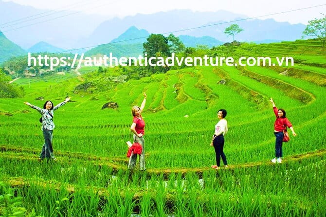 7 Days Explore Vietnam Trip - Day 4 in Da Nang: Dragon Bridge and a quick change of pace