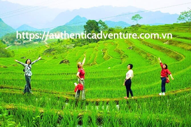 7 Days South & Central Vietnam | Highlights and Top Destinations - Da Nang Departure Day: Room Until Noon and Airport Transfer Without a Guide
