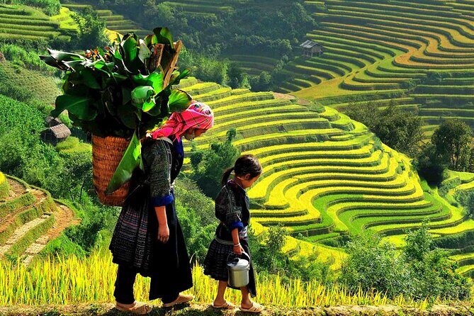 7 Days Vietnam Travel (Hanoi- Ninh Binh - Sapa - Ha Long) - Fansipan on the cable car: the big-altitude viewpoint plan