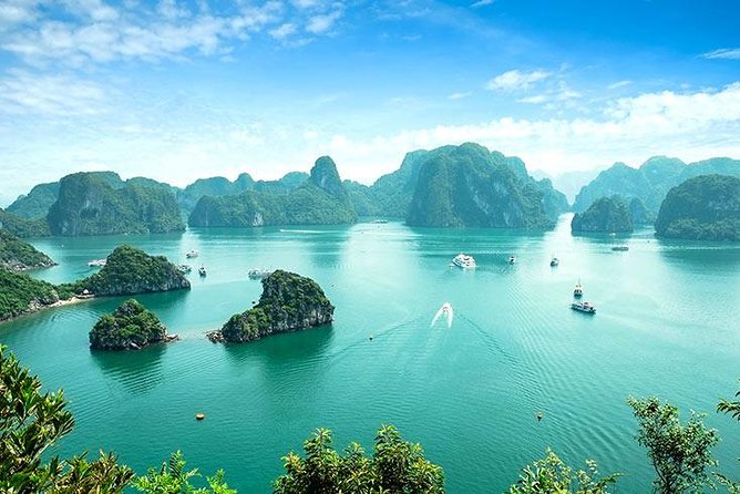 8-Day Discover Northern Vietnam Highlight: Hanoi - Ninh Binh - Sapa - Halong Bay - Sapa trekking day one: Cat Cat and Sin Chai with a river-side lunch break