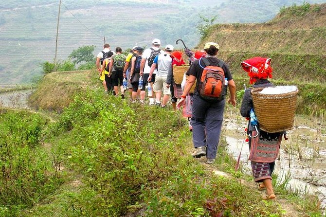 8-Day Discover Northern Vietnam Highlight: Hanoi - Ninh Binh - Sapa - Halong Bay - Halong Bay, two days in a row: sunrise option and a cruise through limestone karsts