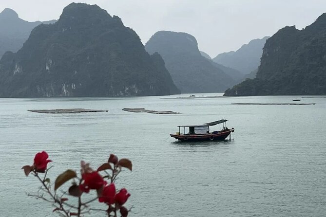 8 Days Package Tour in Vietnam - Price and what you actually get for $472