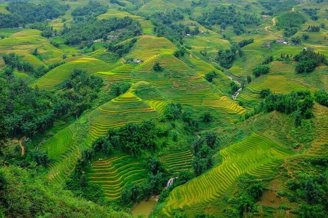 A day Trek to Rice Field in LaoChai-Tavan village-MuongHoa valley - The First Big Payoff: Y Linh Ho and the Flower Valley Rice Terraces