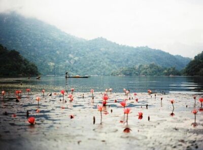 Adventure Tour to Ban Gioc Waterfall - Ba Be Lake 3 days 2 nights - Price and logistics: is $249 good value?