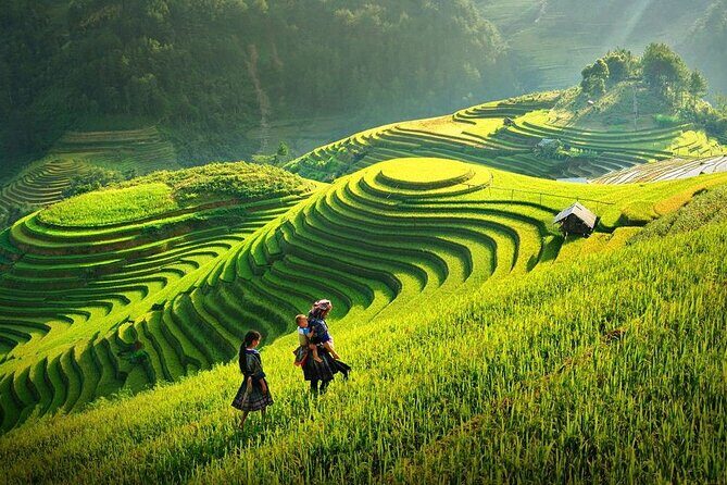 Amazing Sapa Fansipan Cable Car - Trekking: Fun, Majestic fr Sapa - Fansipan’s Cable Car: Why This Trip Works So Well