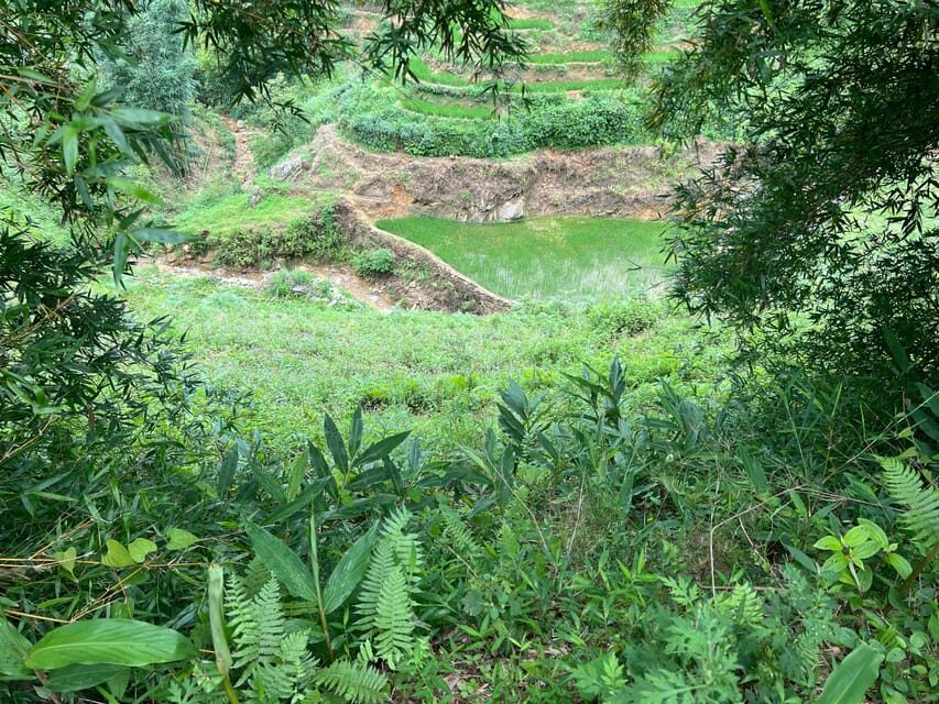 AUTHENIC 2D1N Trek & Bungalow Retreat with Dinh Hmong Family - Value Check: Is $48 a Smart Deal in Sapa?