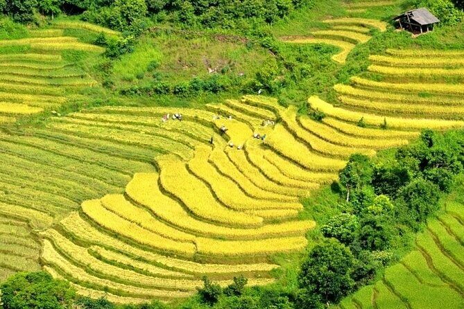 Authentic Sapa Trekking Adventure Tour With Ethnic Minority Guide - Key highlights you’ll actually care about