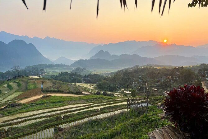 Authentic Sapa Trekking Adventure Tour With Ethnic Minority Guide - Bamboo forest and rice paddies: the walking that makes it feel real