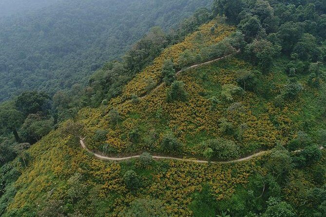 Ba Vi National Park Private Tour: Sightseeings & Jungle Hikking - Meeting Point and Timing: How the Day Runs