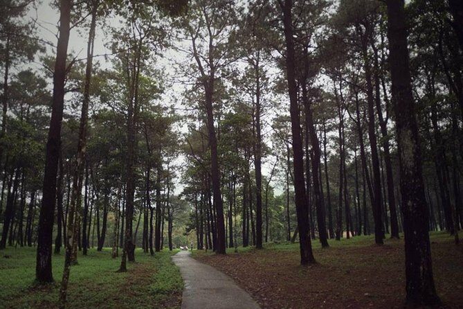 Ba Vi National Park Private Tour: Sightseeings & Jungle Hikking - Thuong Temple: The Step Climb, the Fog Factor, and Lunch You Control