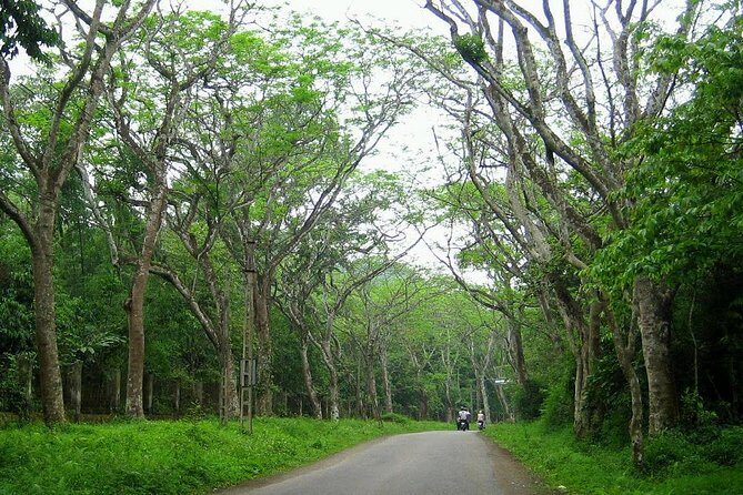 Ba Vi National Park Private Tour: Sightseeings & Jungle Hikking - How This Tour Really Feels: Not a Backcountry Trek, But a Full Day