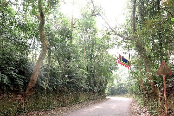 Ba Vi National Park Private Tour: Sightseeings & Jungle Hikking - Price and What $75 Really Buys You