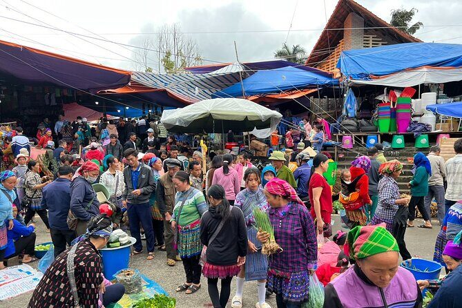 Bắc Hà Sunday Market Tour 2 days and 1 night - Price and logistics: is $95 good value for this 2D/1N format?