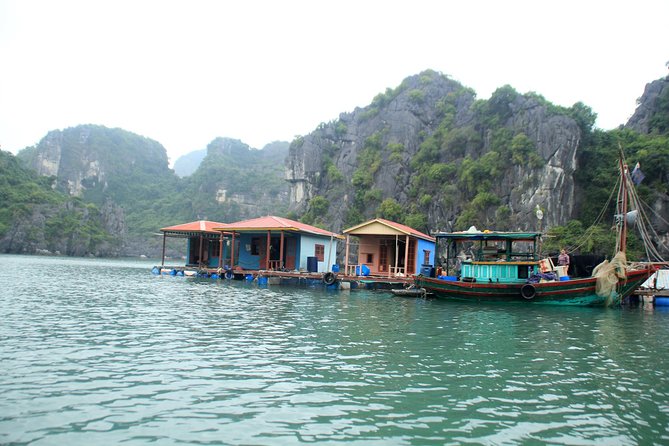 Bai Tu Long boutique & budget cruise 2D: Kayaking, swimming at pristine palaces - Meals onboard: what’s included, and how to budget for drinks