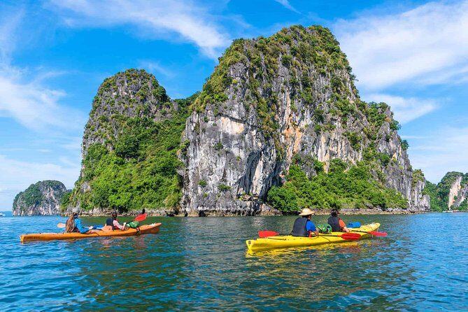 Best Premium Halong Bay Cruise from Halong International Port - The Luon Cave Segment and Your On-Board Premium Lunch