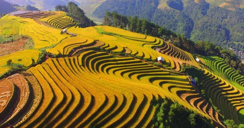 Best seller Historical Discovery Tour of Dien Bien Phu - Quick highlights that make this tour worth your time