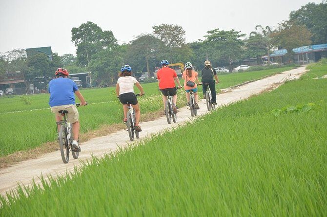 Bicycle Tours Hanoi: Full Day Bicycle Tour Hanoi Countryside - The Co Loa Citadel Ride: Dirt Roads, Wet Market Snacks, and Lotus Lake Breaks