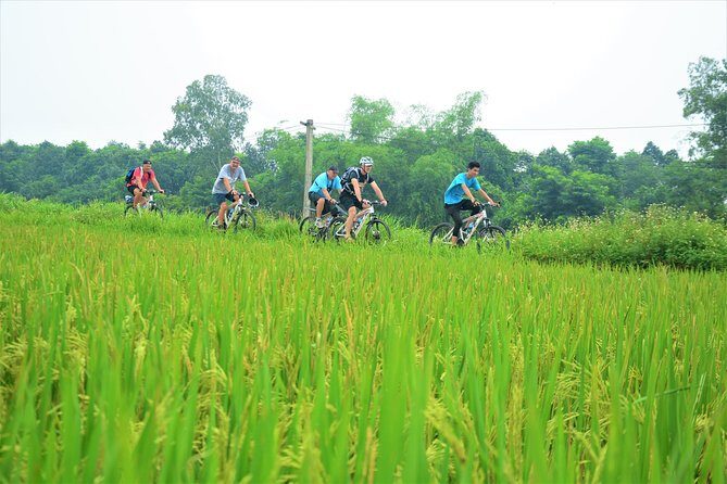 Bicycle Tours Hanoi: Full Day Bicycle Tour Hanoi Countryside - Lunch in a Local Family Home: Why This Part Is Worth the Whole Day