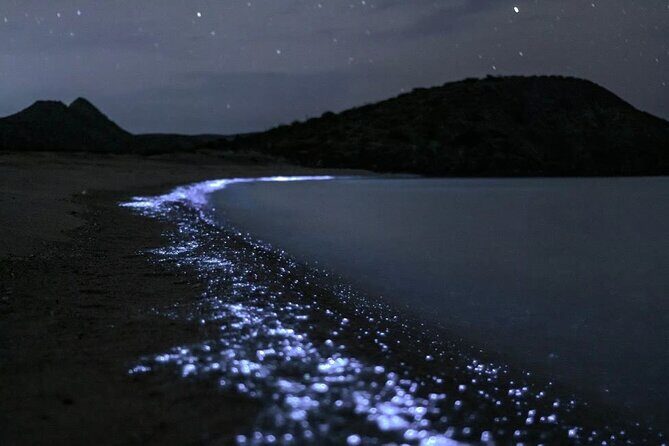 Bioluminescent Plankton Kayak Boat Tour - Quick highlights you’ll care about