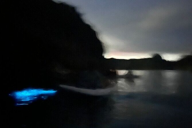 Bioluminescent Plankton Kayak Boat Tour - Weather and wildlife reality checks (so you don’t get blindsided)