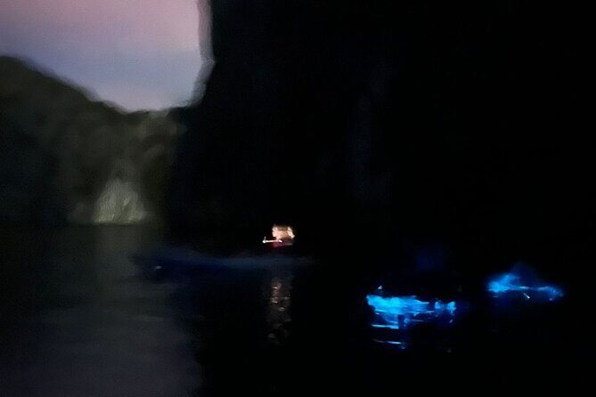 Bioluminescent Plankton Kayak Boat Tour - Dinner at Alibaba’s: the local finish that makes the day feel complete