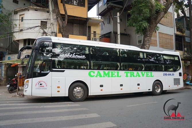 Bus ticket Ninh Binh To Phong Nha - Price and Value: Is $40 a Good Deal for Ninh Binh to Phong Nha?