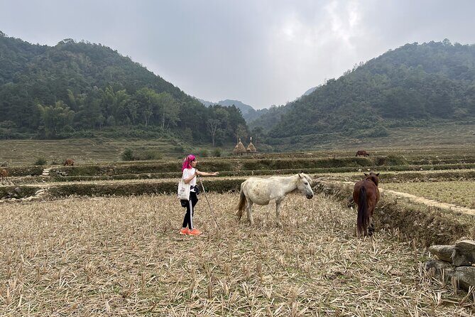 Cao Bang Easy Trekking Tours 2Days/1Night Ban Gioc Waterfall ET1 - From Hanoi to Cao Bang: How the Timing Really Works