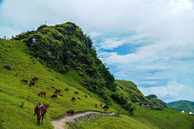 Cao Bang Loop 3 Days Easy Rider with The Loop Tours - Your easy rider team: safety and the difference between scary and calm