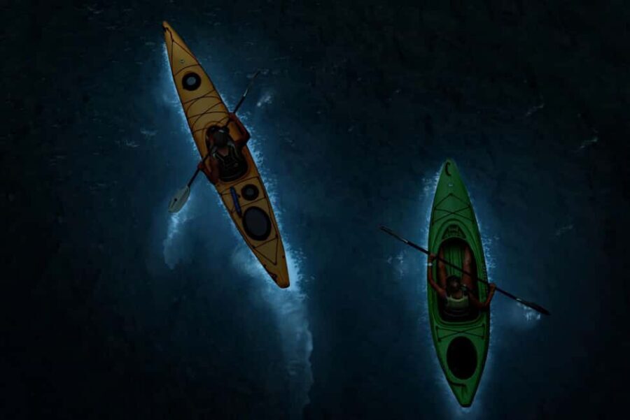 Cat Ba: 2-Day Lan Ha Bay Cruise with Plankton Excursion - Key Things I’d Plan For