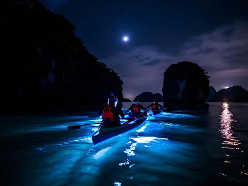 Cat Ba: 2-Day Lan Ha Bay Cruise with Plankton Excursion - Night plankton kayaking: the thousand-stars effect