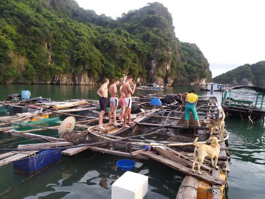 Cat Ba: 2-Day Lan Ha Bay Cruise with Plankton Excursion - Caves and lagoon kayaking: Bat, Dark, and Bright Cave