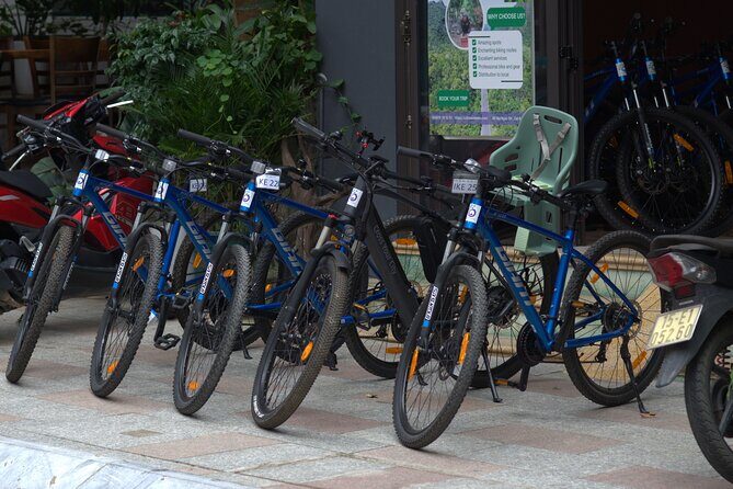Cat Ba Bike Rental - Support that actually helps: technician help within 15 minutes