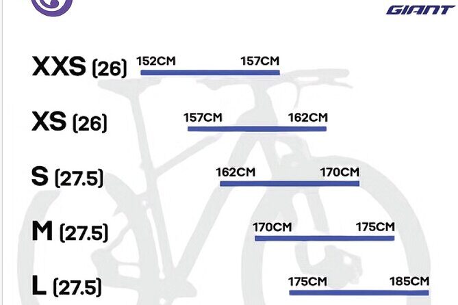 Cat Ba Bike Rental - Meet the bikes: Giant Rincon 2, gears for hills, and daily maintenance